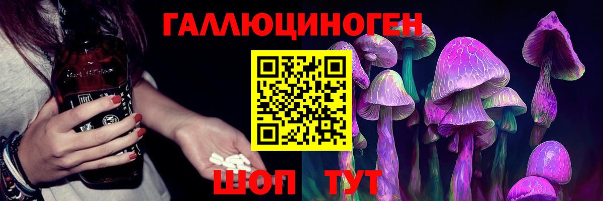 Галлюциногенные грибы Psilocybe Елабуга